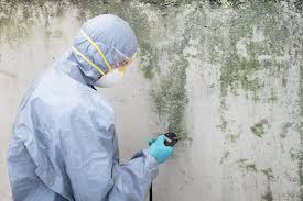 Best Comprehensive Air Testing for Mold Contaminants  in Reisterstown, MD